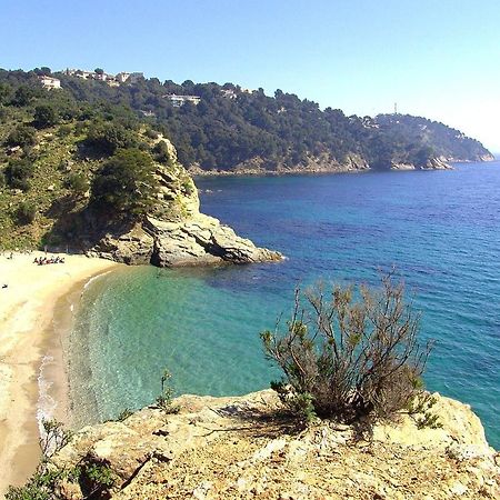 "Ti Sable" Agreable Studio Climatise, Jolie Vue Mer, Piscine A Cavalaire Sur Mer Golfe De St-Tropez Exteriér fotografie