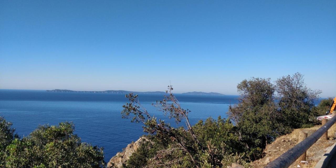 "Ti Sable" Agreable Studio Climatise, Jolie Vue Mer, Piscine A Cavalaire Sur Mer Golfe De St-Tropez Exteriér fotografie
