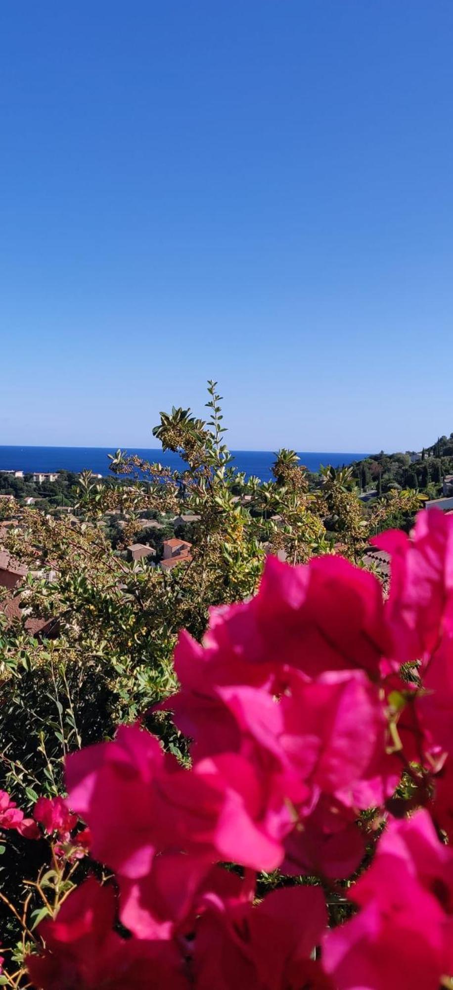 "Ti Sable" Agreable Studio Climatise, Jolie Vue Mer, Piscine A Cavalaire Sur Mer Golfe De St-Tropez Exteriér fotografie